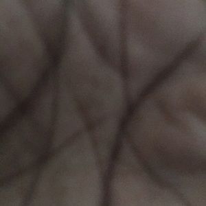 Meet your Posher, Samuel